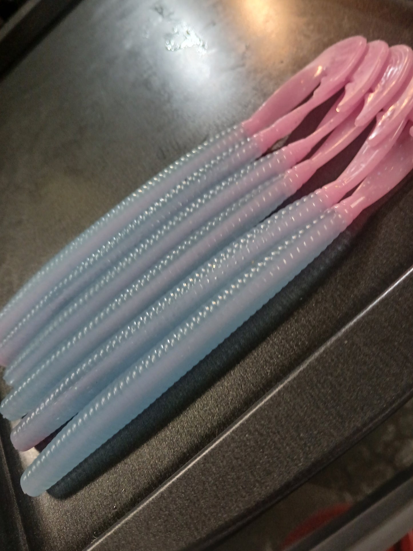 7" Bloodworm (core shot) - pack of 6