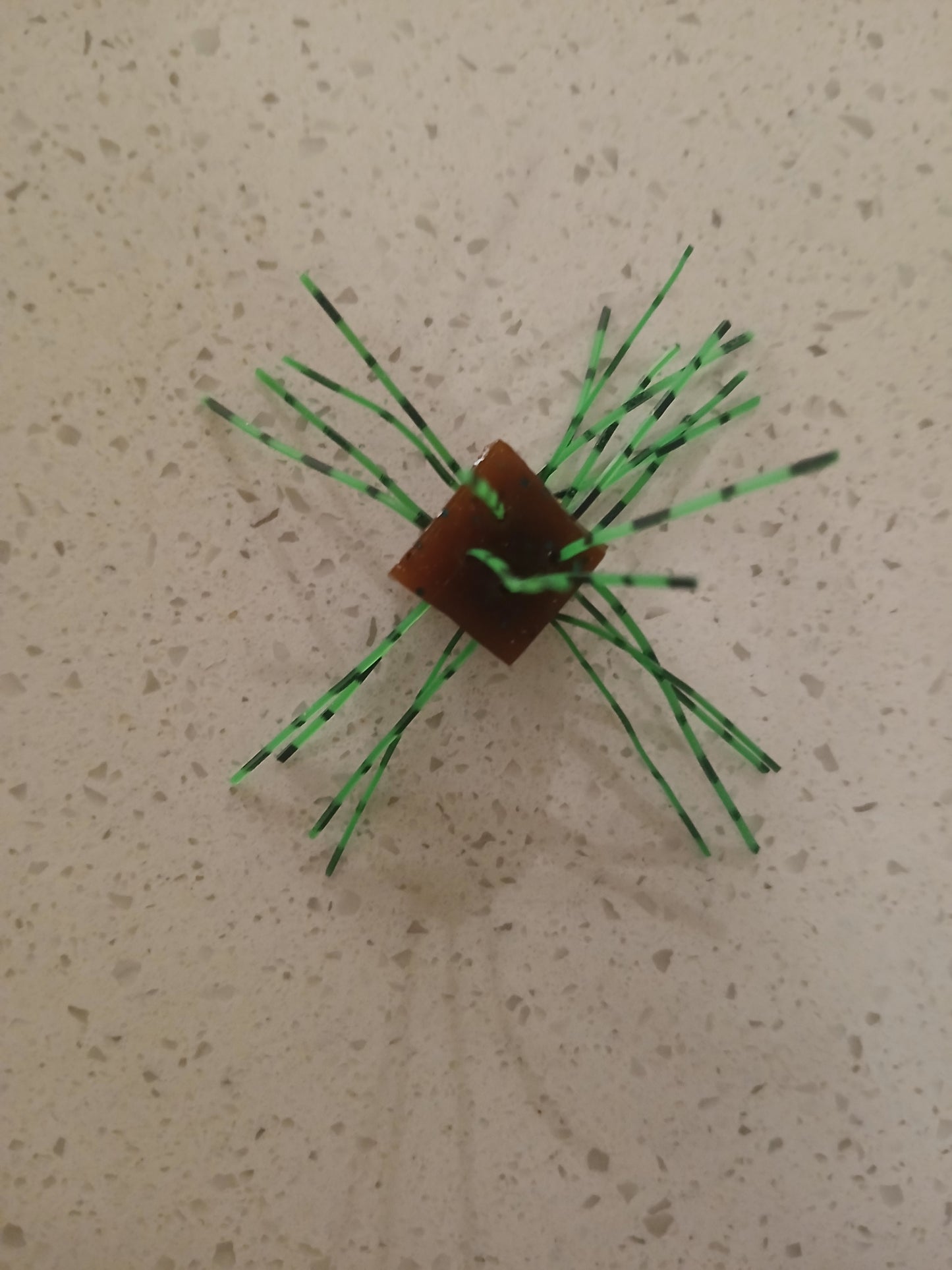 Hairy Square 0.7" - pack of 5